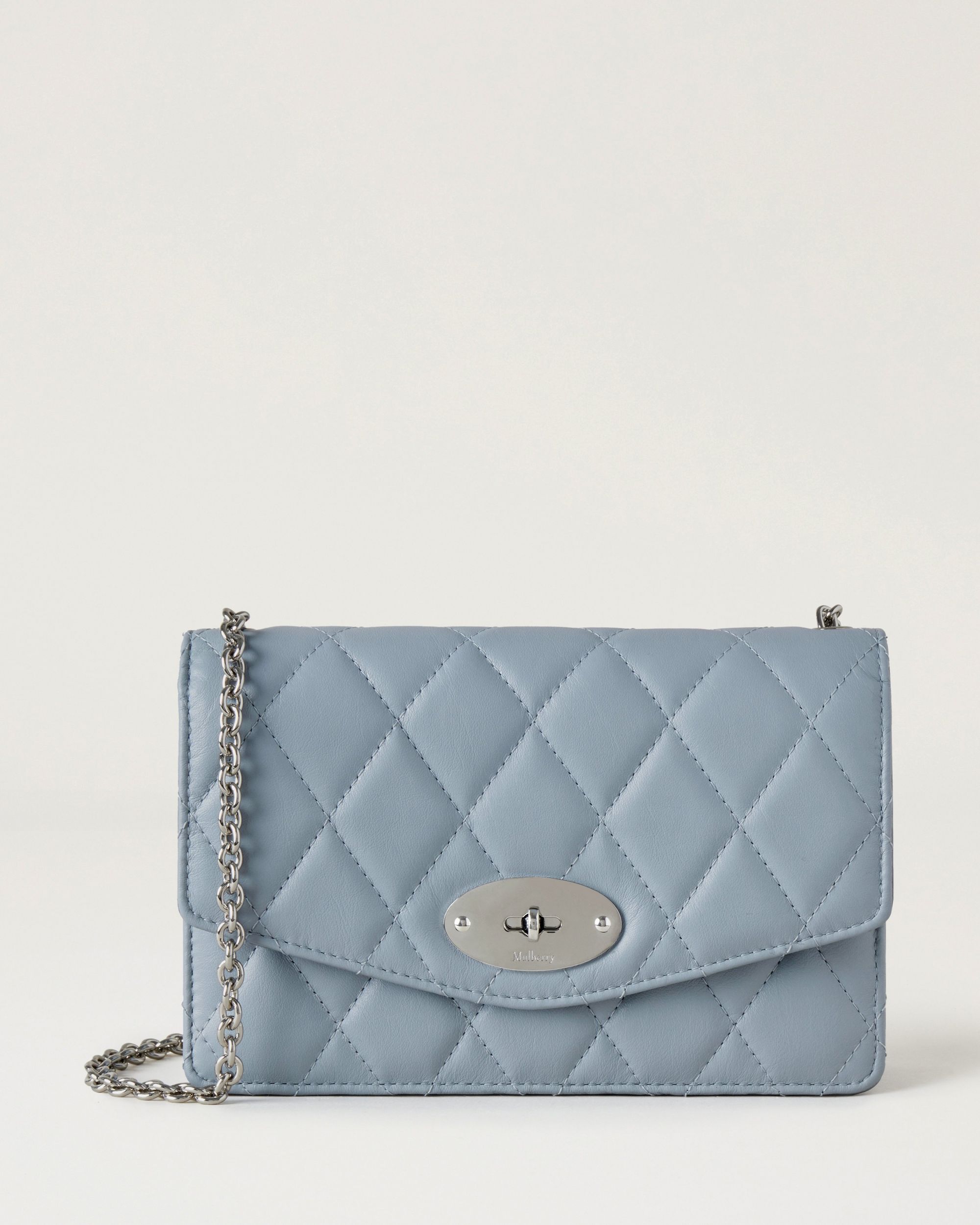 Pretty blue little luxury handbag