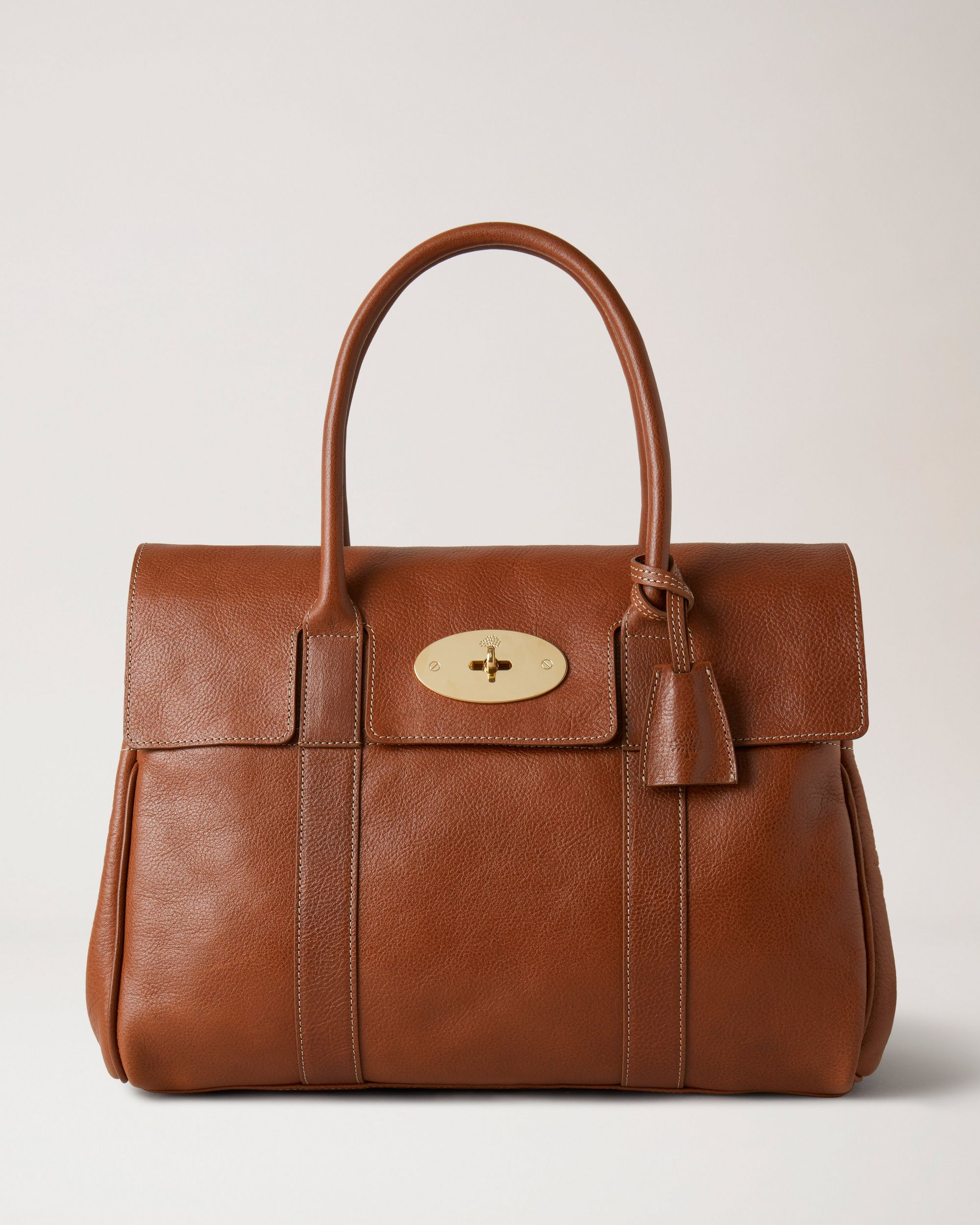 Classic brown luxury handbag